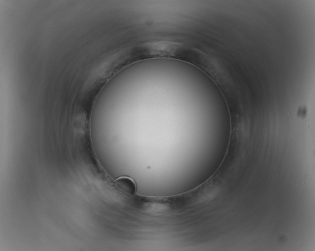 X0000113360649200909221200