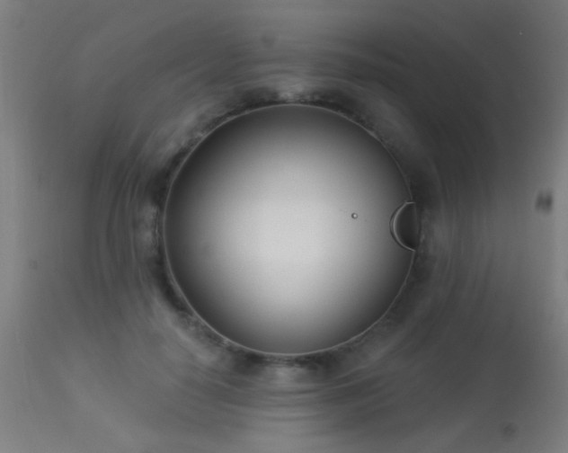 X0000113360650200909221200