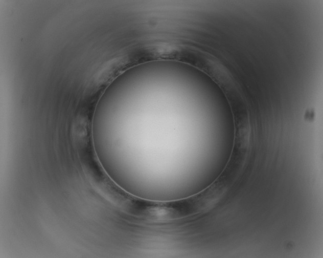 X0000113360654200909221200