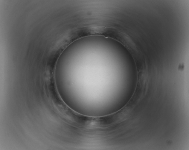 X0000113360655200909221200