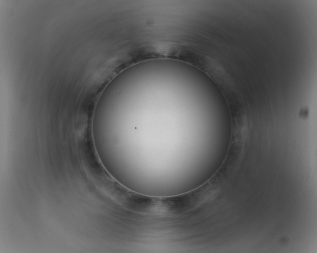 X0000113360656200909221200