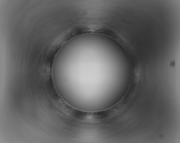 X0000113360657200909221200