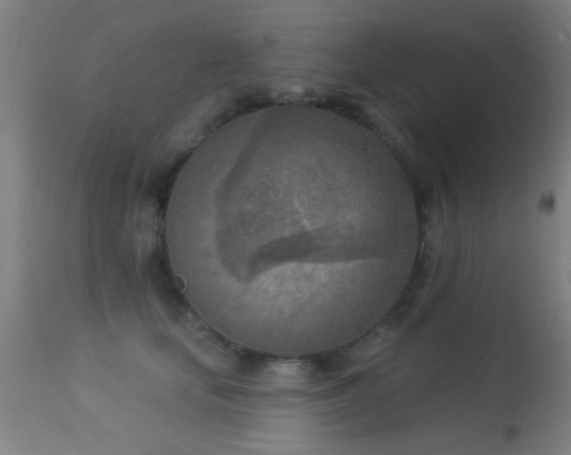 X0000113360659200909221200