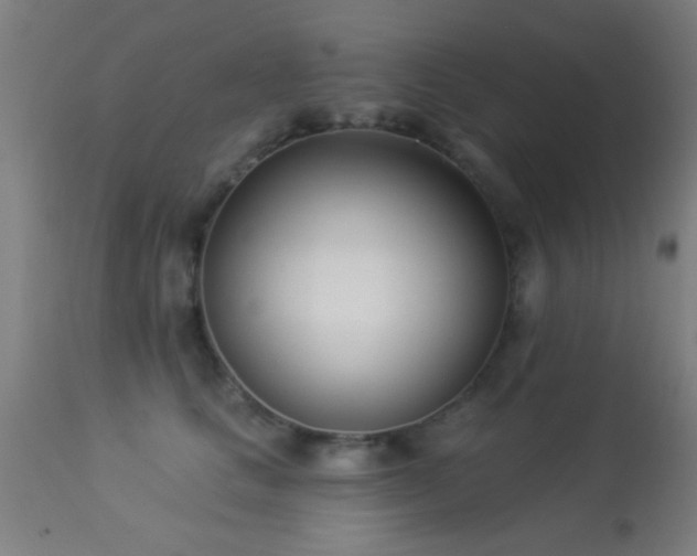 X0000113360661200909221201