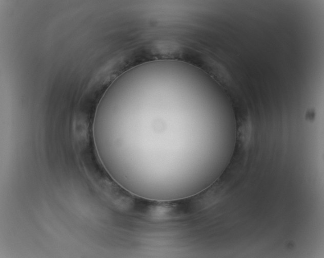X0000113360662200909221201