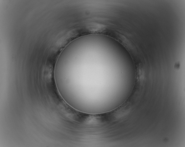 X0000113360664200909221201