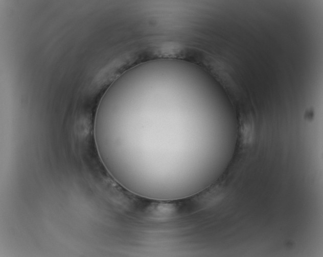 X0000113360665200909221201