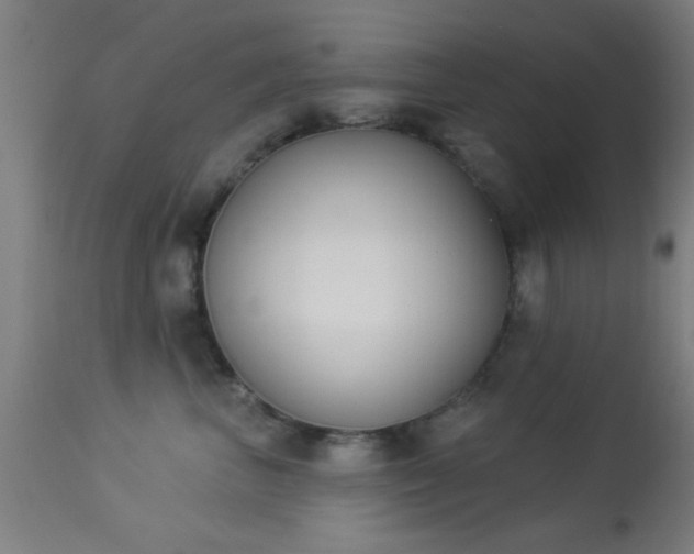 X0000113360667200909221201