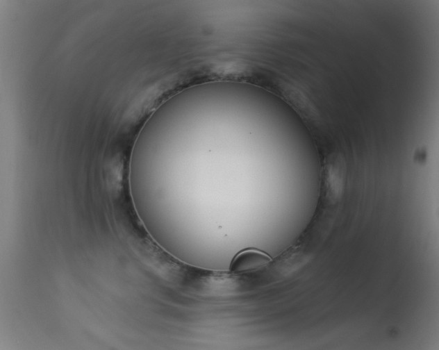 X0000113360668200909221201