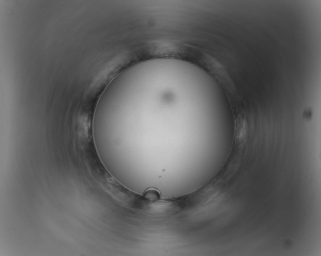 X0000113360669200909221201
