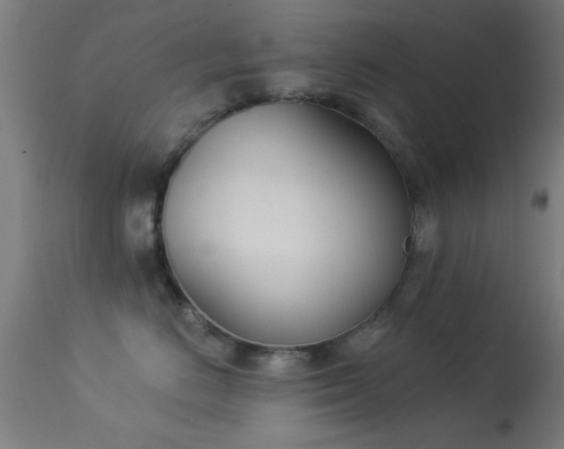 X0000113360670200909221201