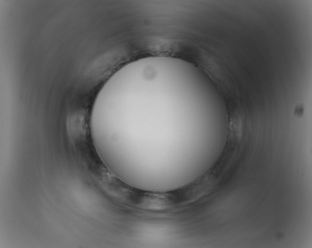 X0000113360671200909221201