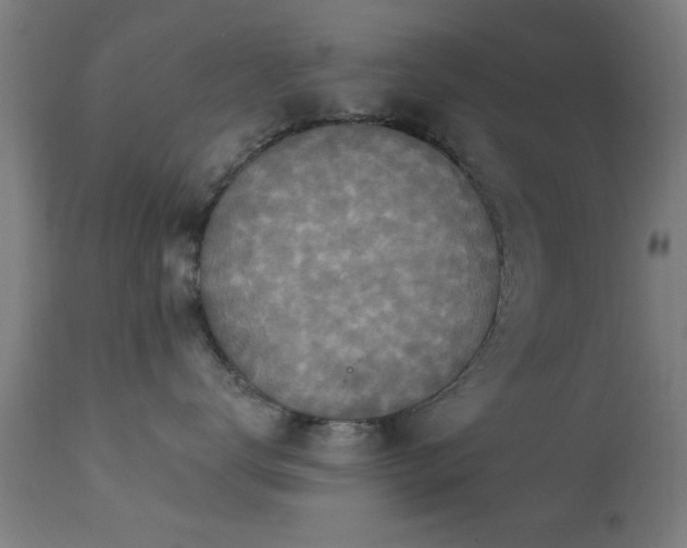 X0000113360672200909221201