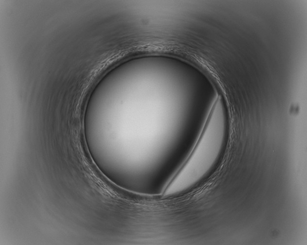 X0000113360673200909221200