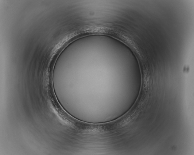 X0000113360674200909221200