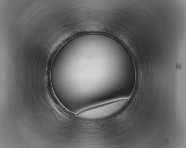 X0000113360677200909221200