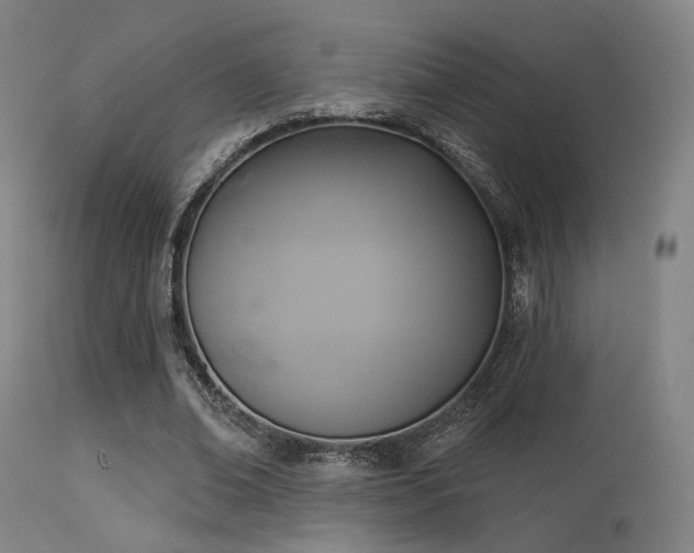 X0000113360678200909221200