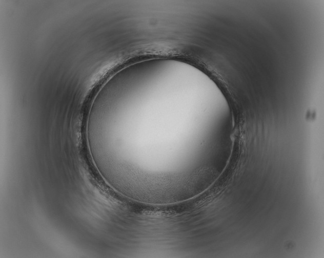X0000113360679200909221200