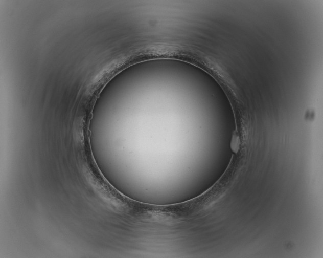 X0000113360681200909221200