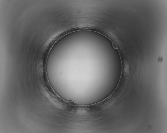 X0000113360684200909221200