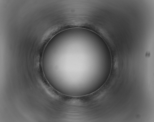 X0000113360685200909221200