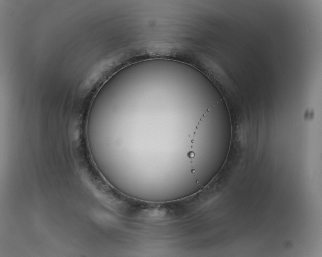 X0000113360687200909221200