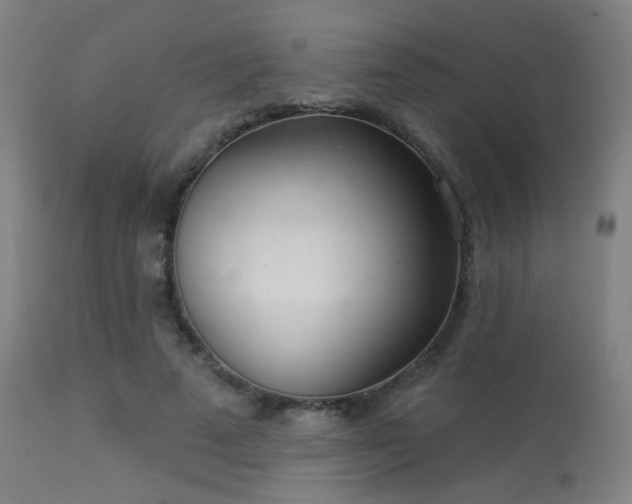 X0000113360689200909221200
