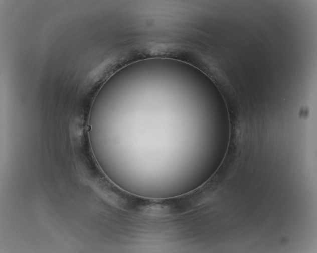 X0000113360691200909221159