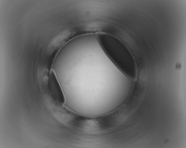 X0000113360692200909221159