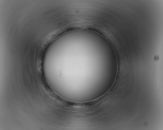 X0000113360693200909221159