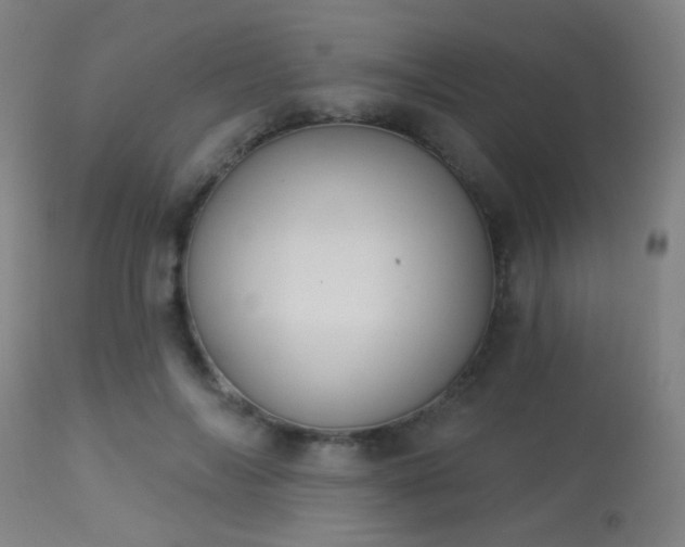 X0000113360694200909221159