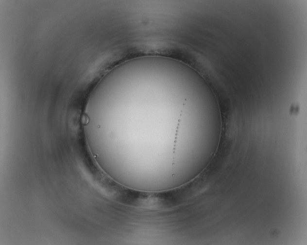 X0000113360695200909221159