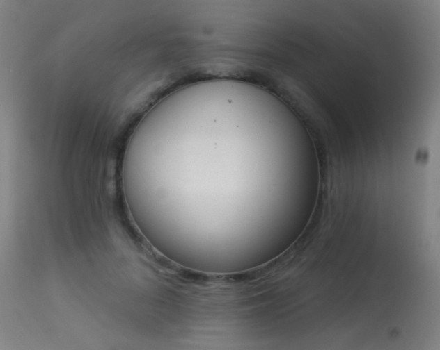 X0000113360696200909221159