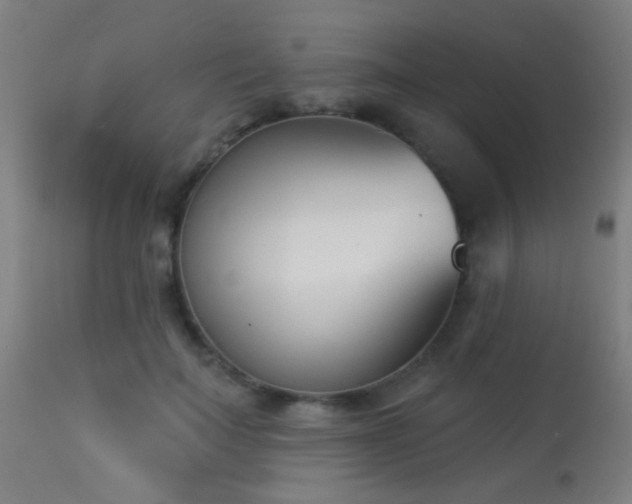 X0000113360699200909221159