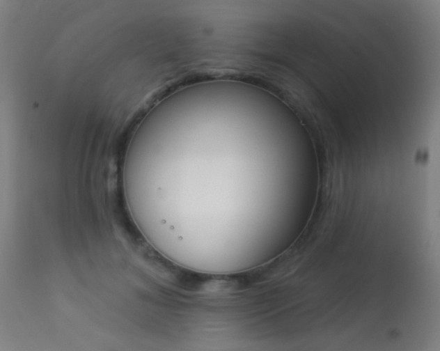 X0000113360700200909221159