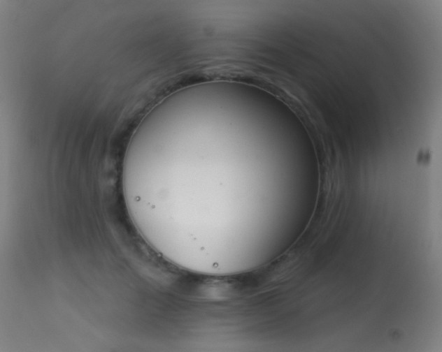 X0000113360701200909221159