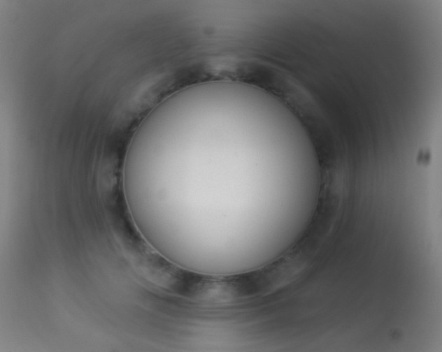 X0000113360702200909221159