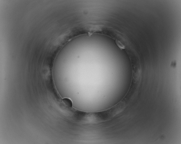 X0000113360704200909221159