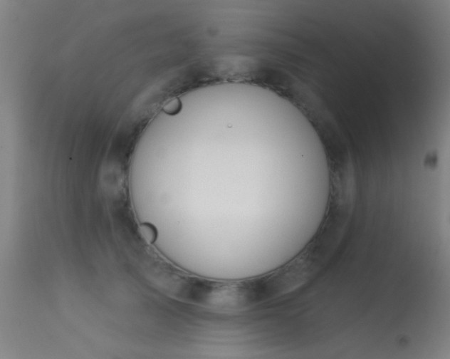 X0000113360705200909221159