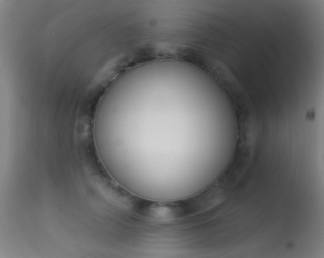X0000113360706200909221159