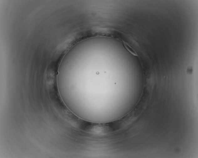 X0000113360708200909221159