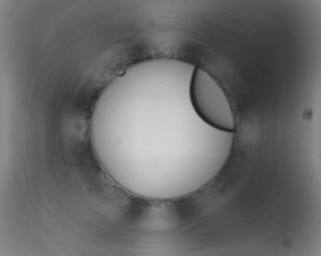 X0000113360709200909221159