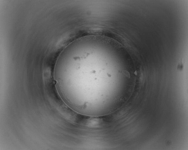 X0000113360711200909221159