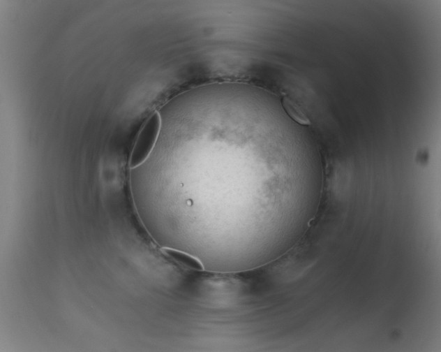 X0000113360712200909221159