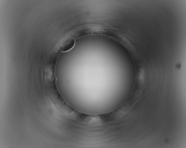 X0000113360715200909221159