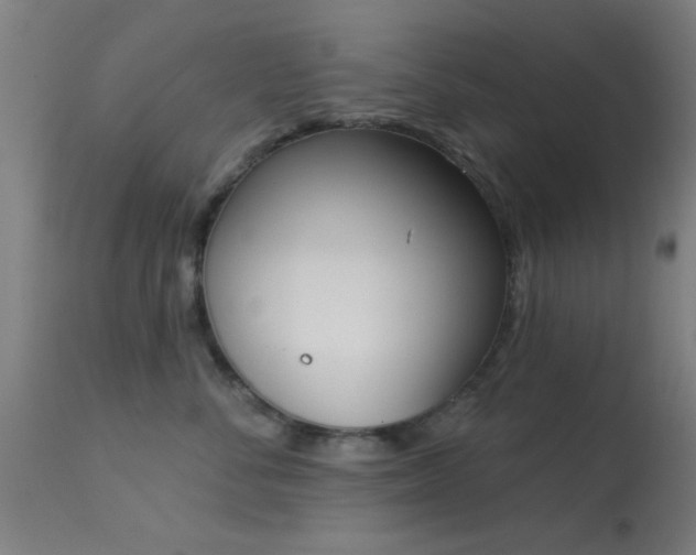 X0000113360716200909221159