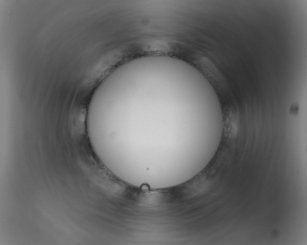 X0000113360717200909221159
