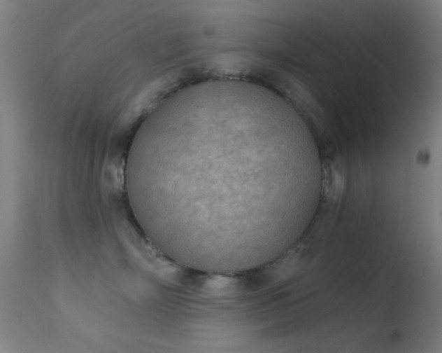 X0000113360718200909221159
