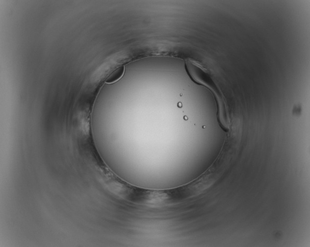 X0000113360719200909221159