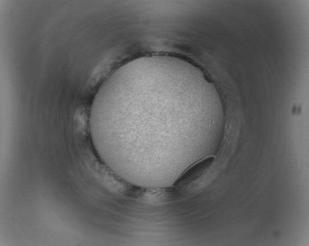 X0000113360720200909221159